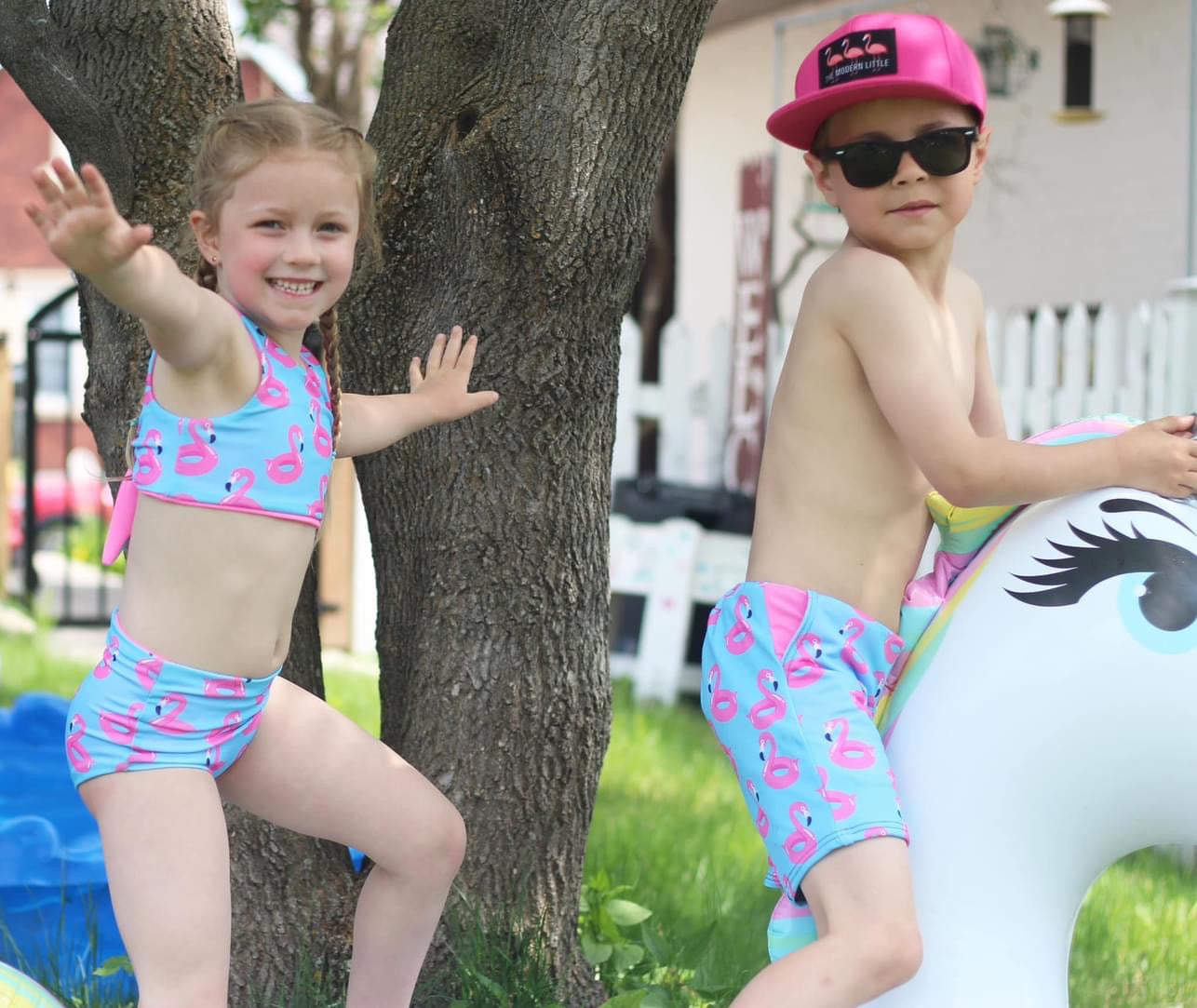 Flamingo Bikini