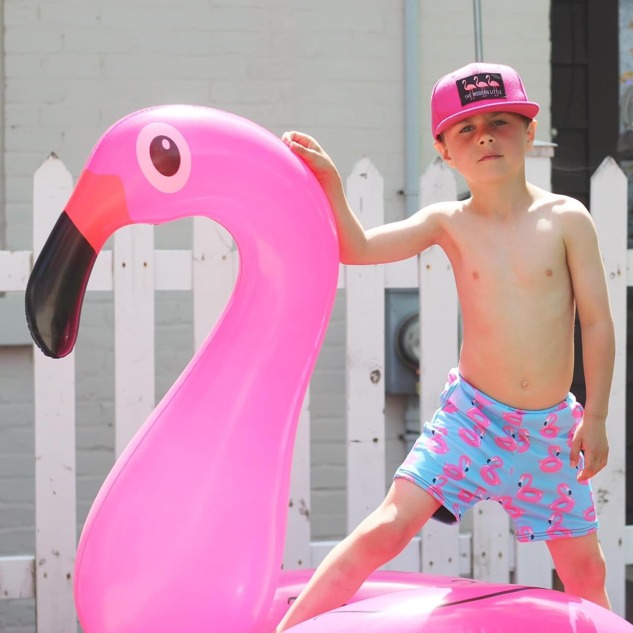 Flamingo Board Shorts